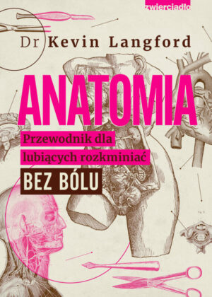 Anatomia