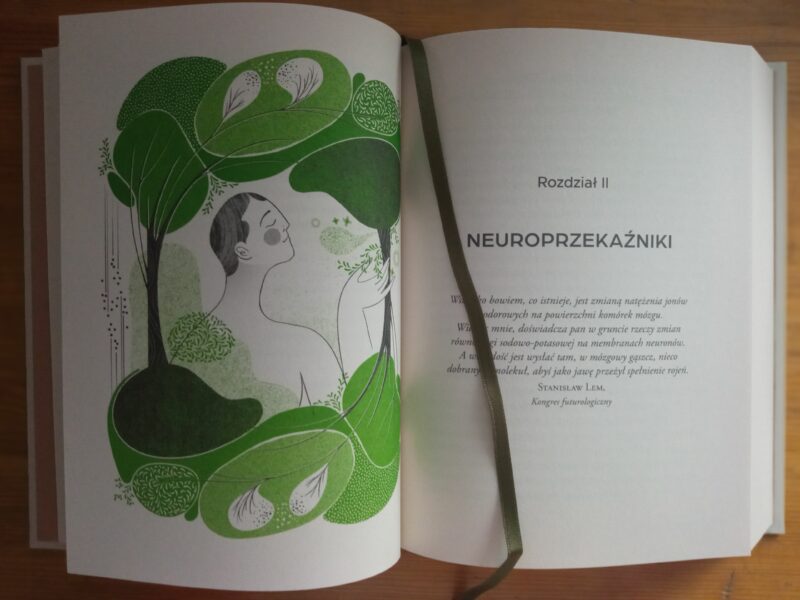 Tak działa mózg