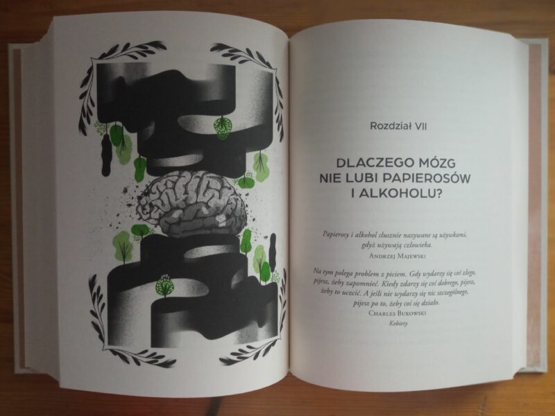 Tak działa mózg