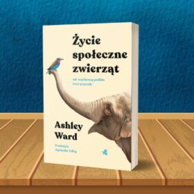 Życie społeczne zwierząt