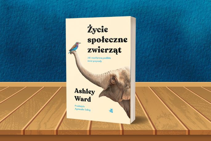 Życie społeczne zwierząt
