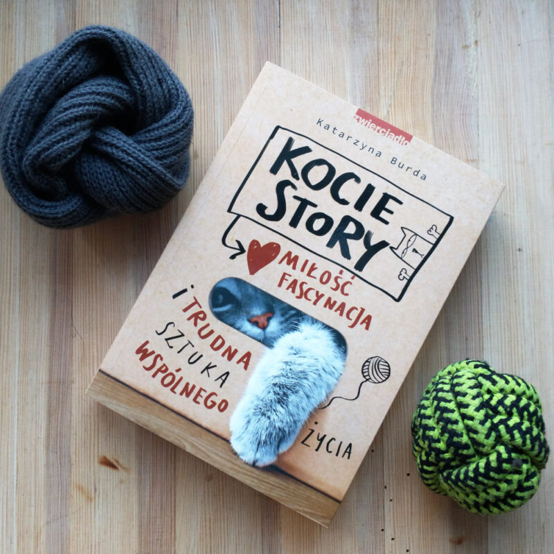 Kocie story