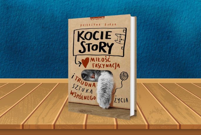 Kocie story
