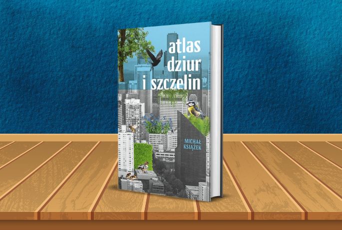 Atlas dziur i szczelin